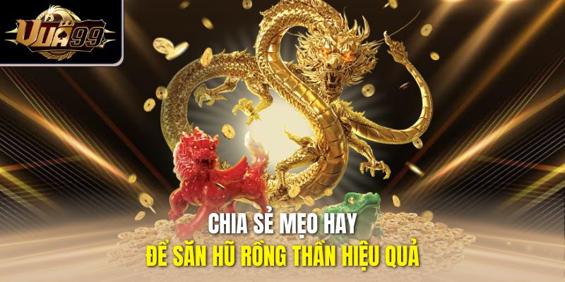 Chia sẻ mẹo hay để săn hũ Rồng Thần hiệu quả