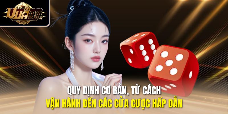 Quy định cơ bản, từ cách vận hành đến các cửa cược hấp dẫn