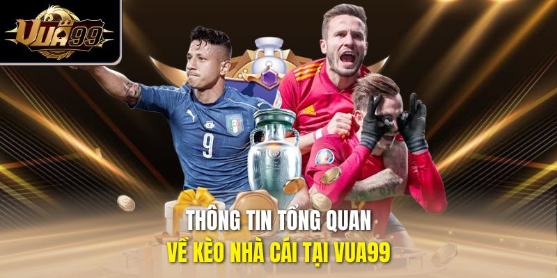 Thông tin tổng quan về kèo nhà cái tại Vua99